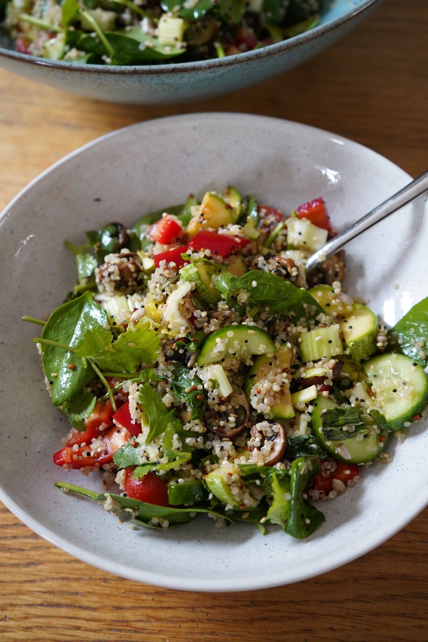 Schöner Salat mit Quinoa Tricolore, Zucchini, Pilzen, Paprika, Staudensellerie, Koriander und Minze